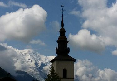 Excursión Bici de montaña Chamonix-Mont-Blanc - balcons N S la Tour - Photo