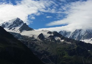 Tour Mountainbike Chamonix-Mont-Blanc - posettes - Photo