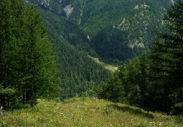 Trail Walking Tende - lac vert - Photo