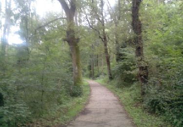 Trail Walking Durbuy - Barvaux 10 + 12Km - Photo