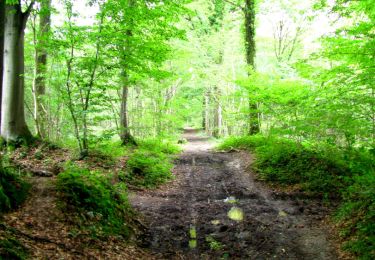 Trail Walking Longpont - en forêt de Retz_27_Longpont_Montgobert_Puiseux_AR - Photo