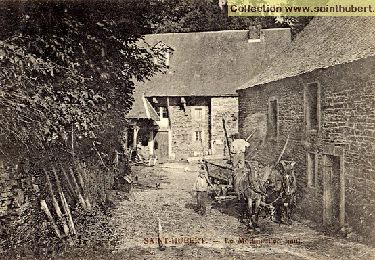 Tocht Stappen Saint-Hubert - Hatrival - Moulin d'en Haut (SH23) - Photo