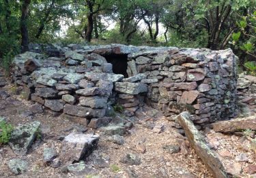 Trail Walking Thoiras - Les dolmens de la grande Pallière - Photo