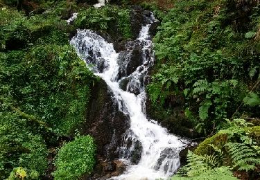 Trail Walking Neuviller-la-Roche - cascade de la Serva  - Photo