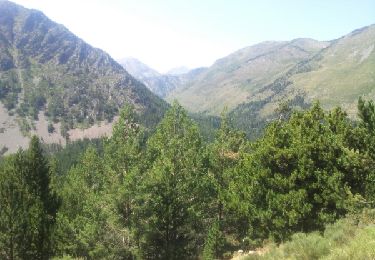 Tour Wandern Formiguères - Camporeills - Photo