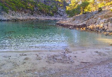 Tocht Andere activiteiten Cassis - Calanques de Cassis - Photo