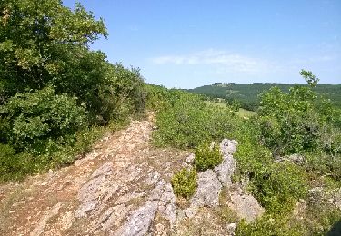 Randonnée Autre activité Penne - saint Paul de mamiac- Bruniquel  - Photo