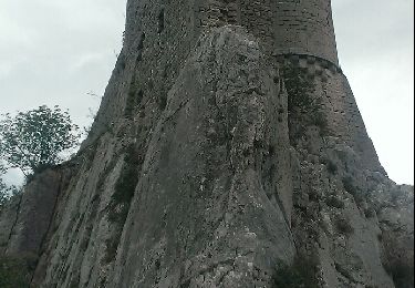 Trail Walking Rouet - Chateau de Vivioures - Photo