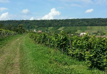 Tocht Stappen Bruley - la petite linotte - Photo