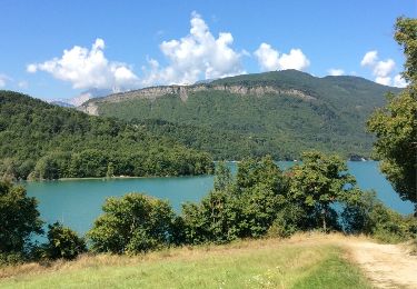 Randonnée Autre activité Mayres-Savel - tour lac monteynard - Photo