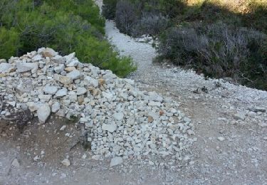 Tocht Stappen Marseille - mounine chevre - Photo