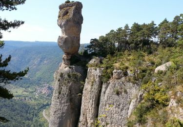 Randonnée Marche Le Rozier - Le Rozier - Causse Méjean Gorges du Tarn et de la Jonte - 12.5km 750m 4h50 (1h20) - 2014 09 07 - Photo