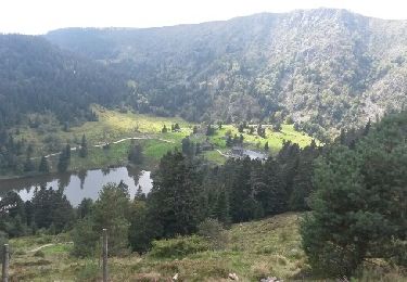 Percorso Marcia La Bresse - Vosges - Honneck Lac Blanc par les lacs - Photo