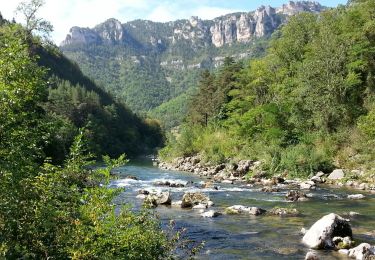 Excursión Senderismo Massegros Causses Gorges - Grands Causses - Gorges du Tarn - Les Vignes - Photo