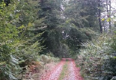 Trail Walking Bertrix - cornichai 02 - Photo