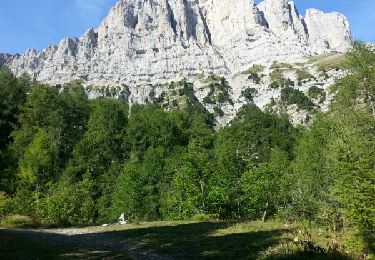 Tour Wandern Gresse-en-Vercors - le grand veymont par la cabane du veymont - Photo