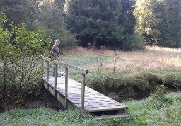 Tour Wandern Martelingen - forêt d'Anlier 1 - Photo