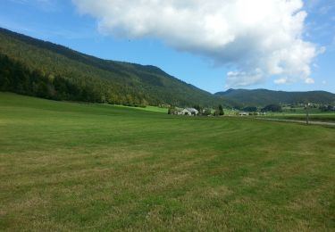 Excursión Senderismo Autrans-Méaudre en Vercors - les alentours d'autrans - Photo