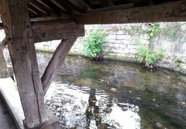 Tocht Stappen Asnières-sur-Oise - Le Bois de Bonnet_trace_ 9,8km - Photo