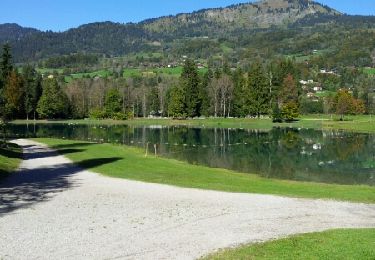 Trail Walking Morillon - Lac bleu au lac Aux dames - Photo