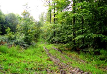 Trail Walking Longpont - en forêt de Retz_28_Longpont_Cabaret_A - Photo