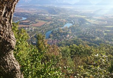 Trail Running Saint-Nazaire-en-Royans - Vert corps 1 - Photo