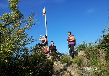 Randonnée Marche Montesquieu-des-Albères - montesquieu sant cristau par col llinas - Photo