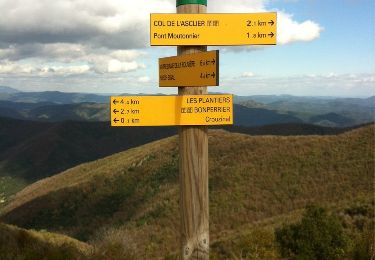 Randonnée Marche Val-d'Aigoual - Col de l'homme mort - Photo