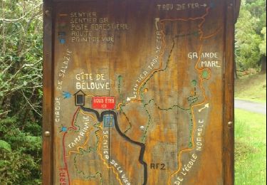 Percorso Marcia Salazie - La Réunion - Boucle dans la forêt de Belouve - Point de vue du Trou de fer - Photo
