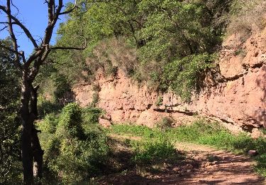 Trail Walking Arboras - Boucle le rocher des 2 vierges par Saint Jean de la Blaquière - Photo