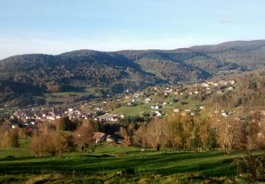 Randonnée Marche Saint-Maurice-sur-Moselle - De Saint-Maurice-sur-Moselle au Ballon d'Alsace - Photo
