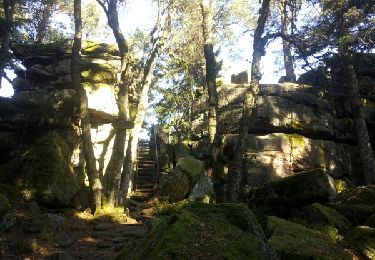 Randonnée Marche Thannenkirch - le massif du taennchel - Photo