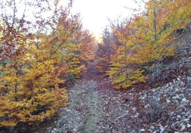 Trail Walking Monieux - Les Abeilles - Forêt de Sault - Photo