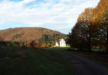 Trail Walking Hommert - Entre Schaeferhof et Dabo - Photo