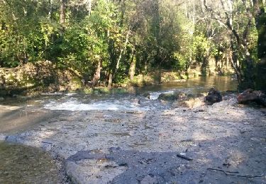 Trail Walking Biot - biot la brague - Photo