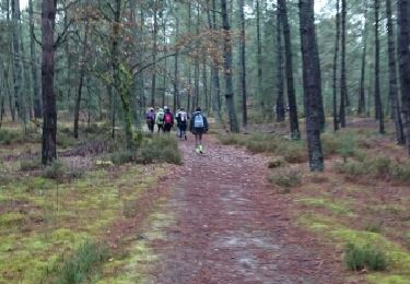 Tocht Stappen Noisy-sur-École - 4h sur les 25 bosses selon Sylvie VDB - Photo