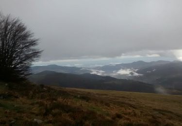 Tour Wandern Le Valtin - Sur les Crêtes du Hohneck - Photo