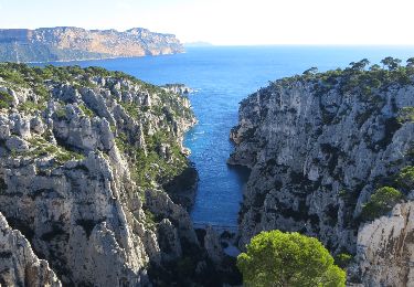 Randonnée Marche Marseille - les Calanques d'Envau et de port pin - Photo