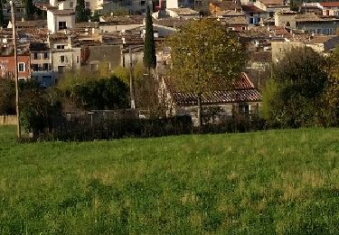 Tour Wandern Sainte-Anastasie-sur-Issole - St anastasie - Photo