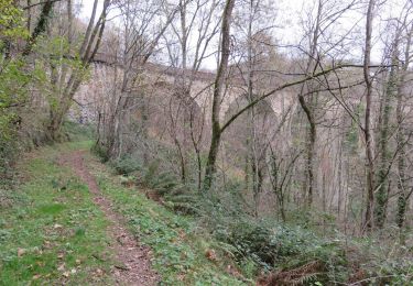 Trail Walking Vignols - Vignols- Les Bardissières - Photo