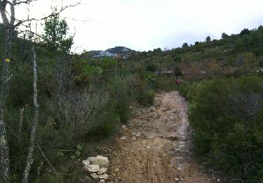 Trail Walking Allauch - Le Terme - Collet Redon  - Photo