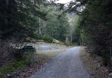 Tour Wandern Pellafol - Bois du Sapey - Photo