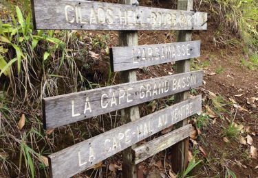 Randonnée Marche Entre-Deux - Citrons Galets Argamasse - Photo