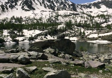 Tocht Stappen Tende - refuge des merveilles - Photo