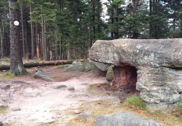 Tocht Stappen Reinhardsmunster - Au dessus de Reinhardsmunster - Photo