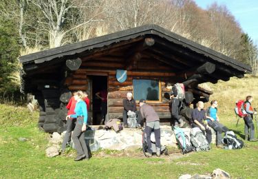 Trail Walking Dolleren - ballon d'alsace - Photo