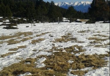 Percorso Racchette da neve Caudiès-de-Conflent - caudies de conflent - Photo