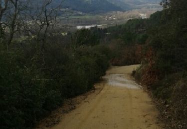 Excursión Bici de montaña Beauchastel - Beauchastel - Photo