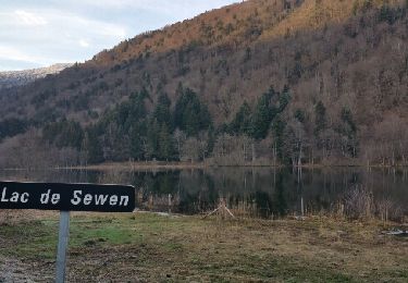 Tocht Stappen Sewen - tour du lac de Sewen - Photo