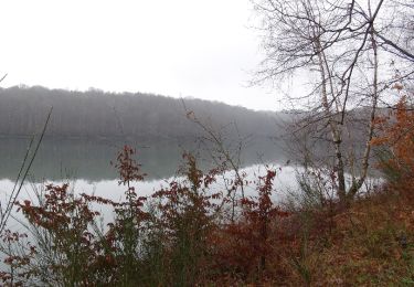 Randonnée Marche Froidchapelle - Du Lac de l'Eau d'Heure au Lac du Ry Jaune - Photo
